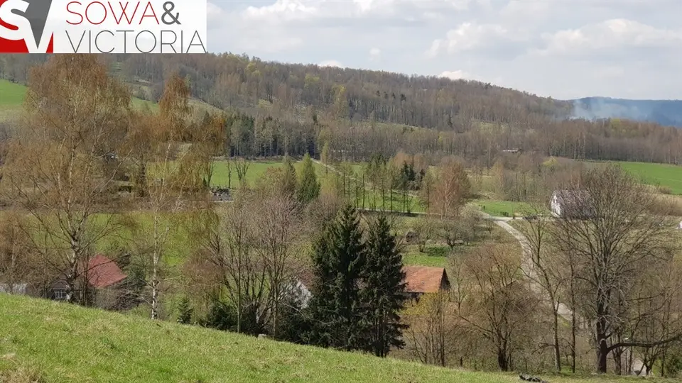 Zdjęcie 2