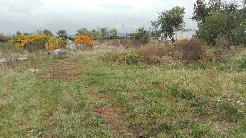 Zdjęcie 2