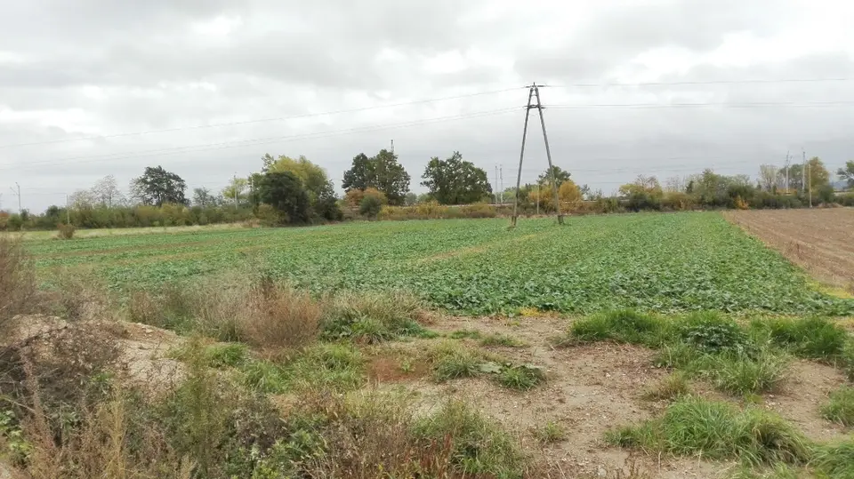 Działka budowlana 2 762 m², Świebodzice, Ciernie