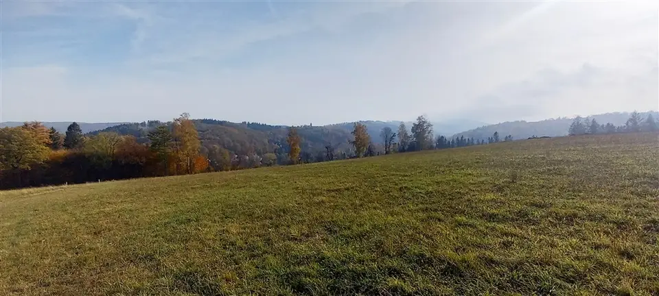 Zdjęcie 2