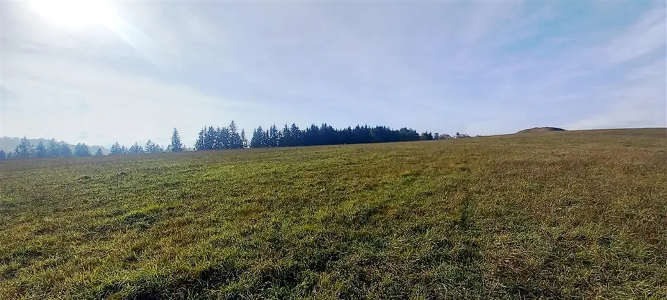 Zdjęcie 5