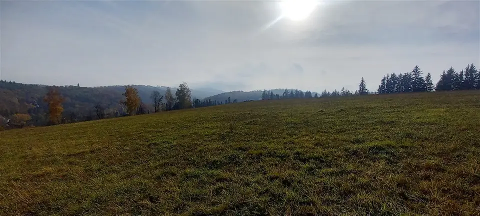 Zdjęcie 6