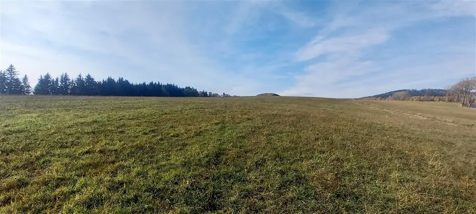 Zdjęcie 7