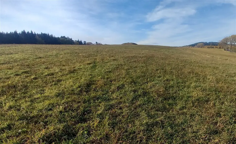 Zdjęcie 8
