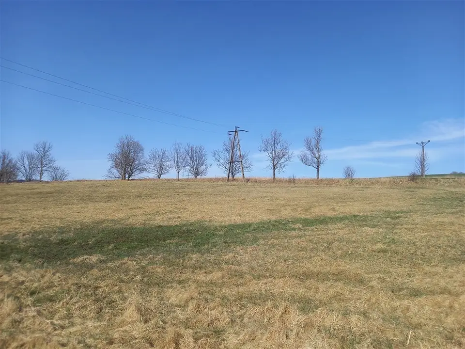Zdjęcie 3