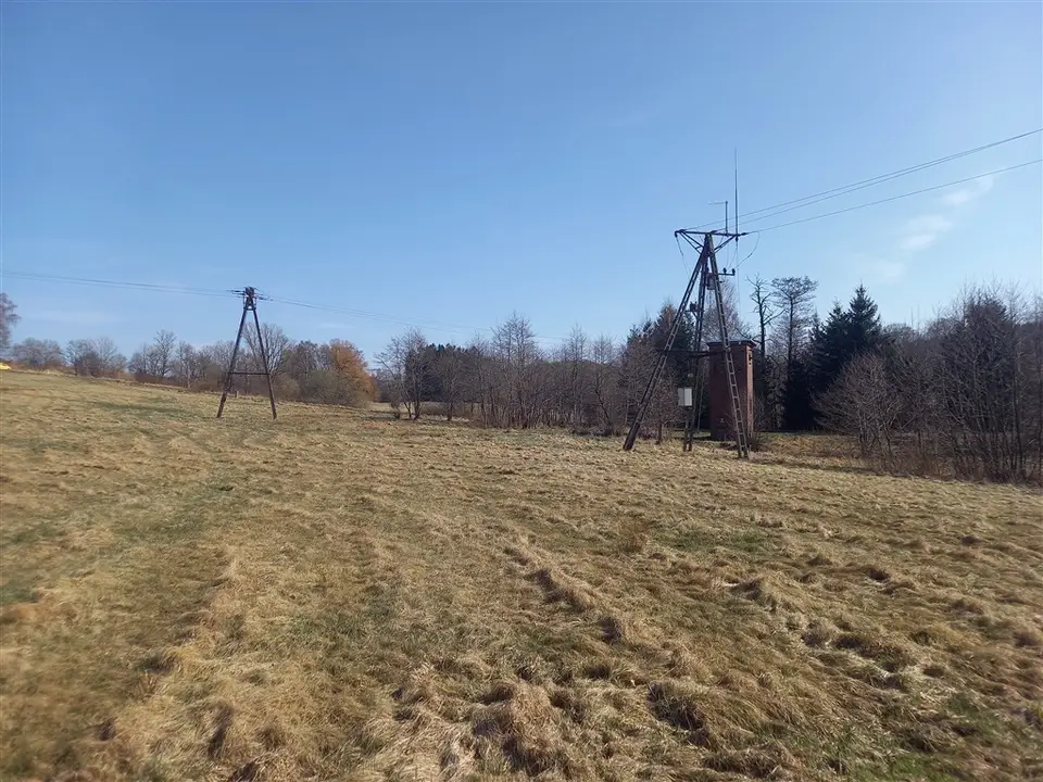 Zdjęcie 6