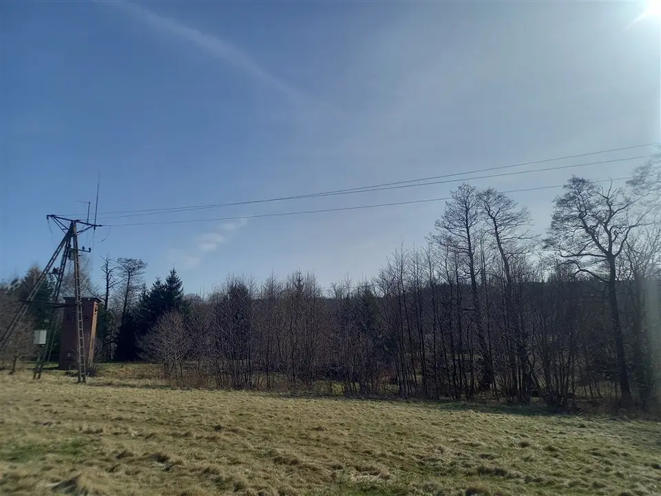 Zdjęcie 7
