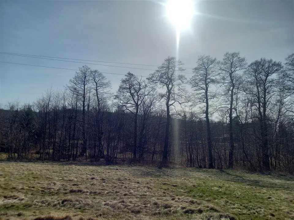 Zdjęcie 8