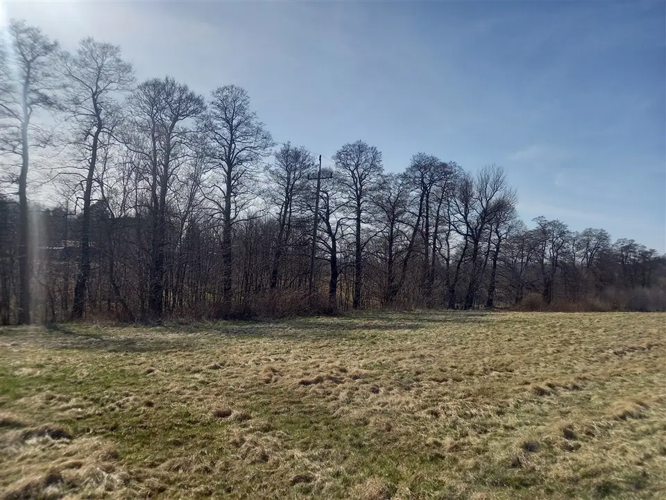 Zdjęcie 9