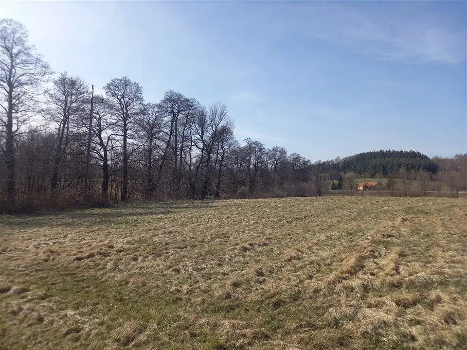 Zdjęcie 10