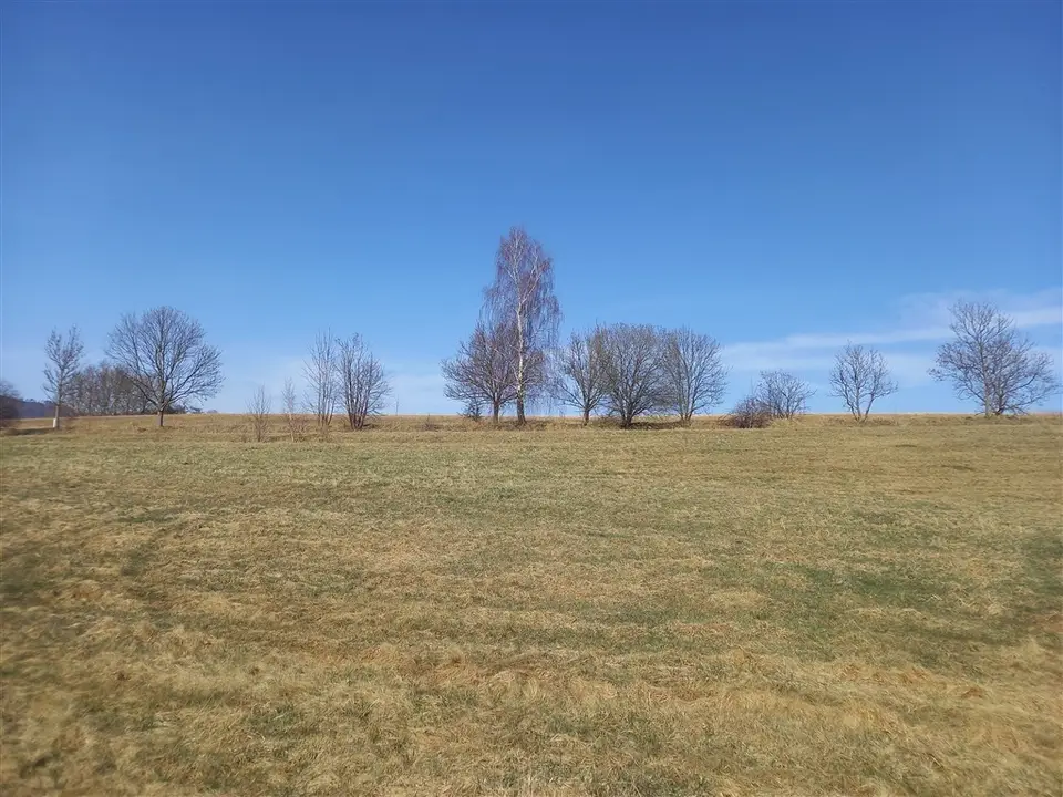 Zdjęcie 11