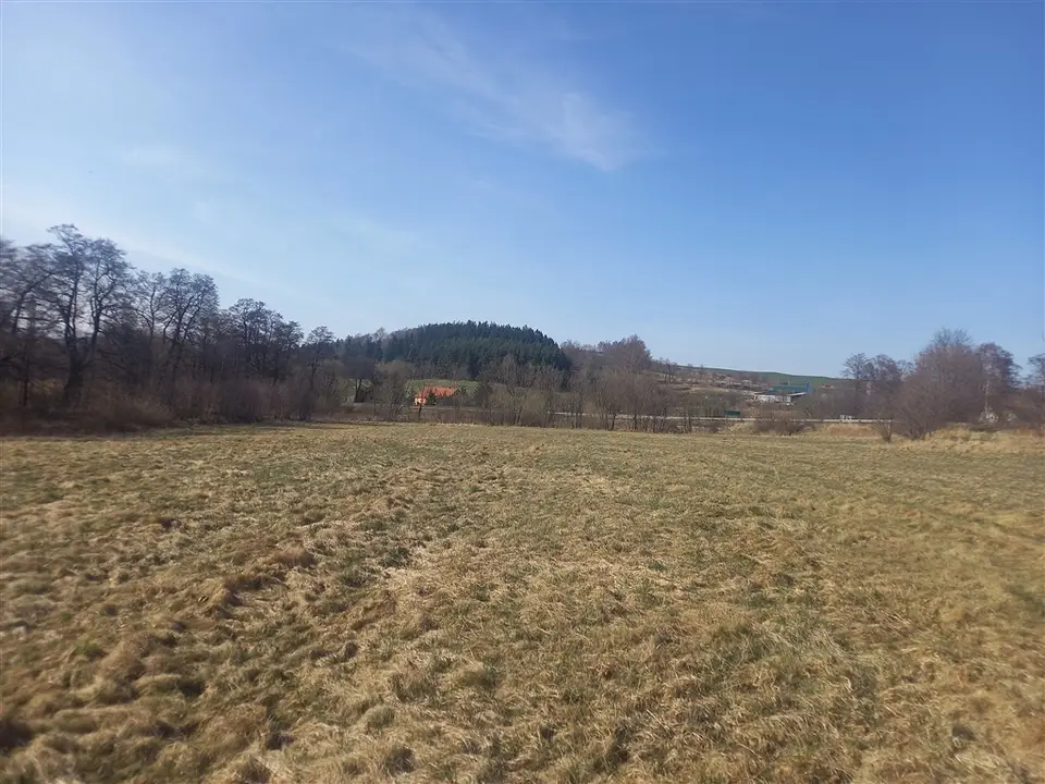 Zdjęcie 13