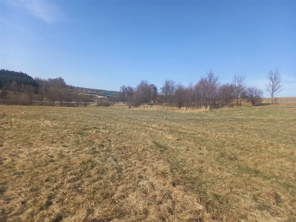 Zdjęcie 14