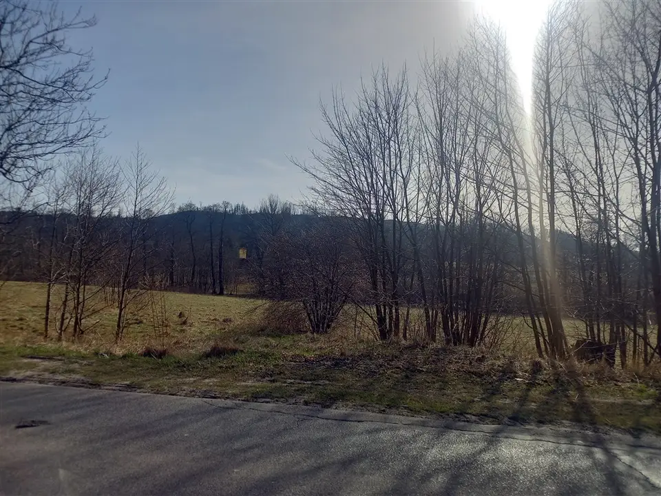 Zdjęcie 15