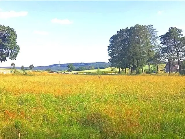 Działka budowlana 3 500 m², Gorzeszów