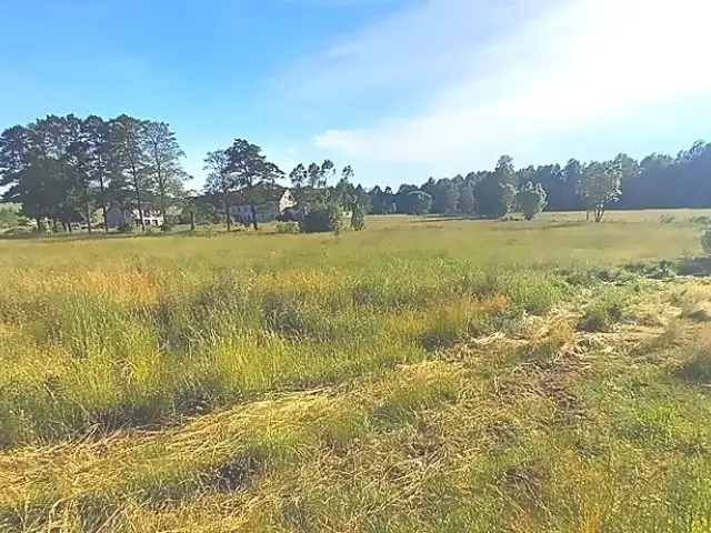 Zdjęcie 6