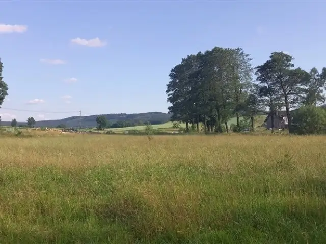 Zdjęcie 8