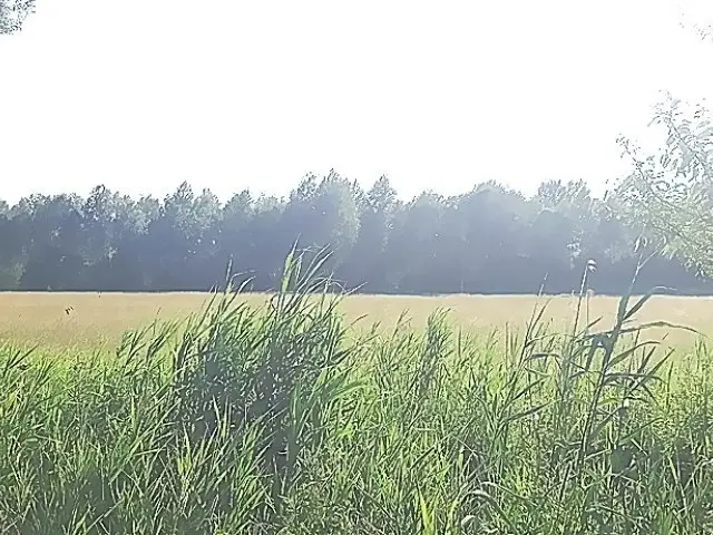 Zdjęcie 9