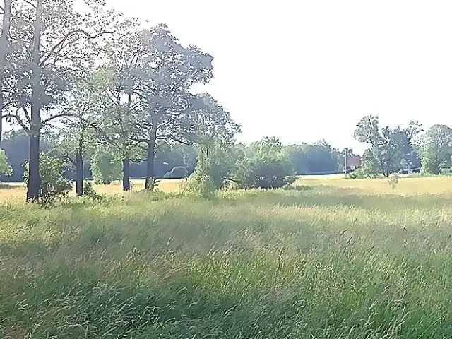 Zdjęcie 10