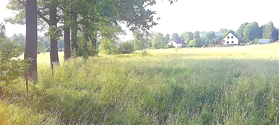 Zdjęcie 11