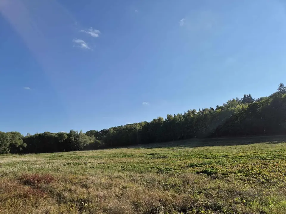 Działka budowlana 5,41 ha, Świebodzice