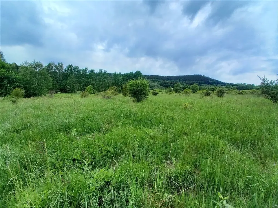 Zdjęcie 3