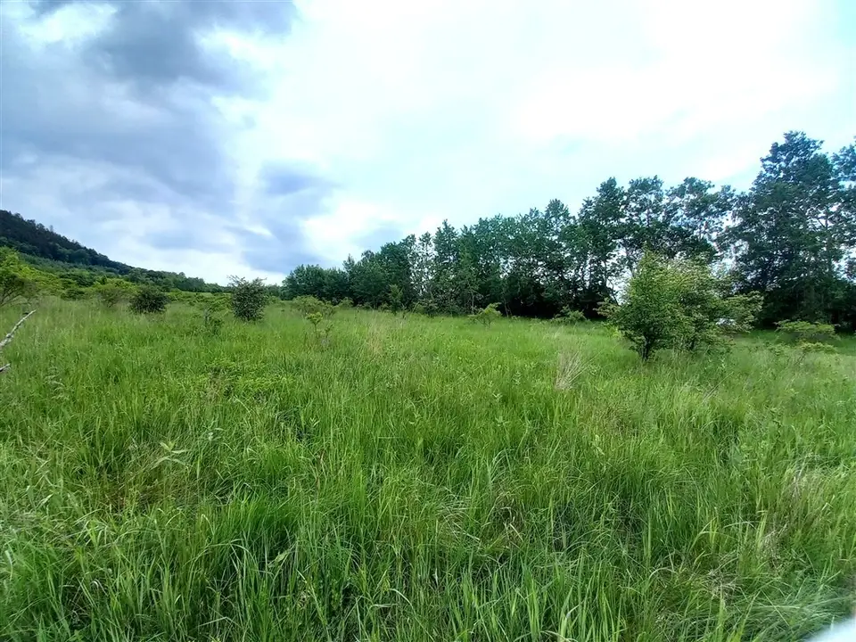Zdjęcie 4