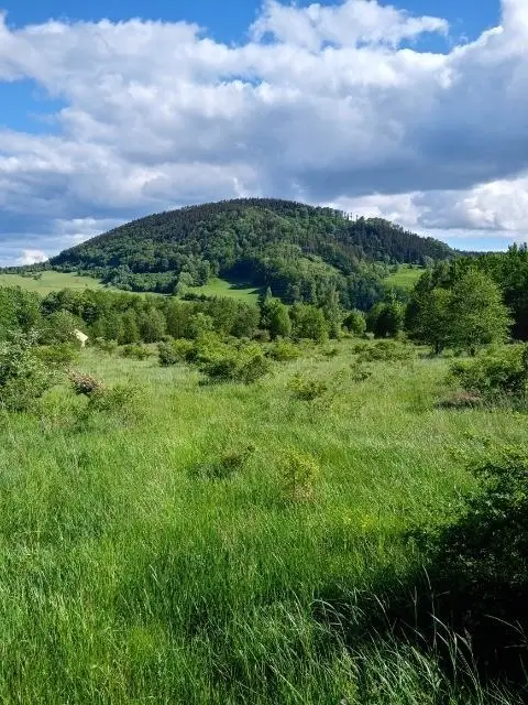 Zdjęcie 7