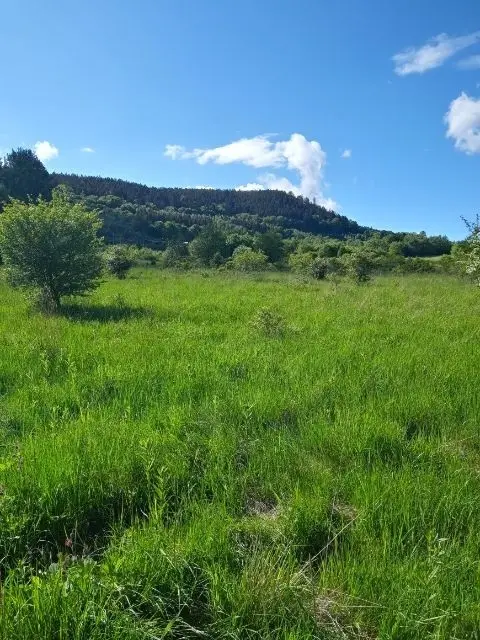 Zdjęcie 8