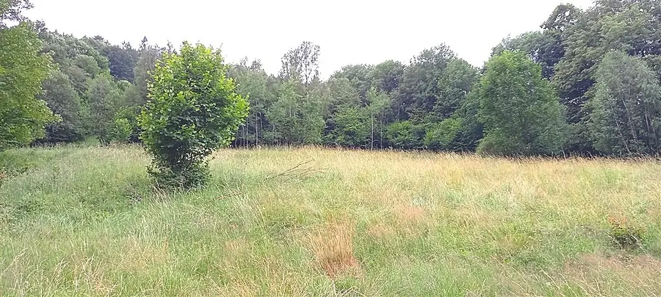 Zdjęcie 3