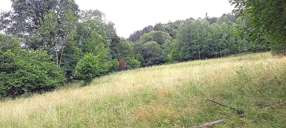 Zdjęcie 4