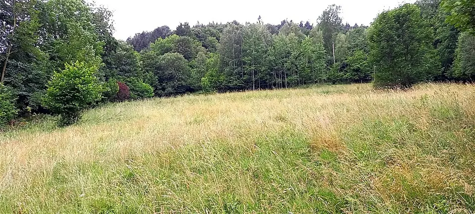 Zdjęcie 5