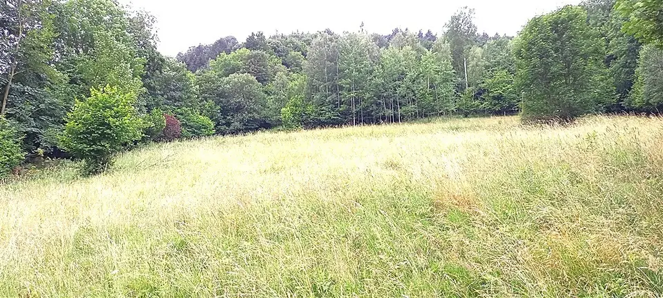 Zdjęcie 10