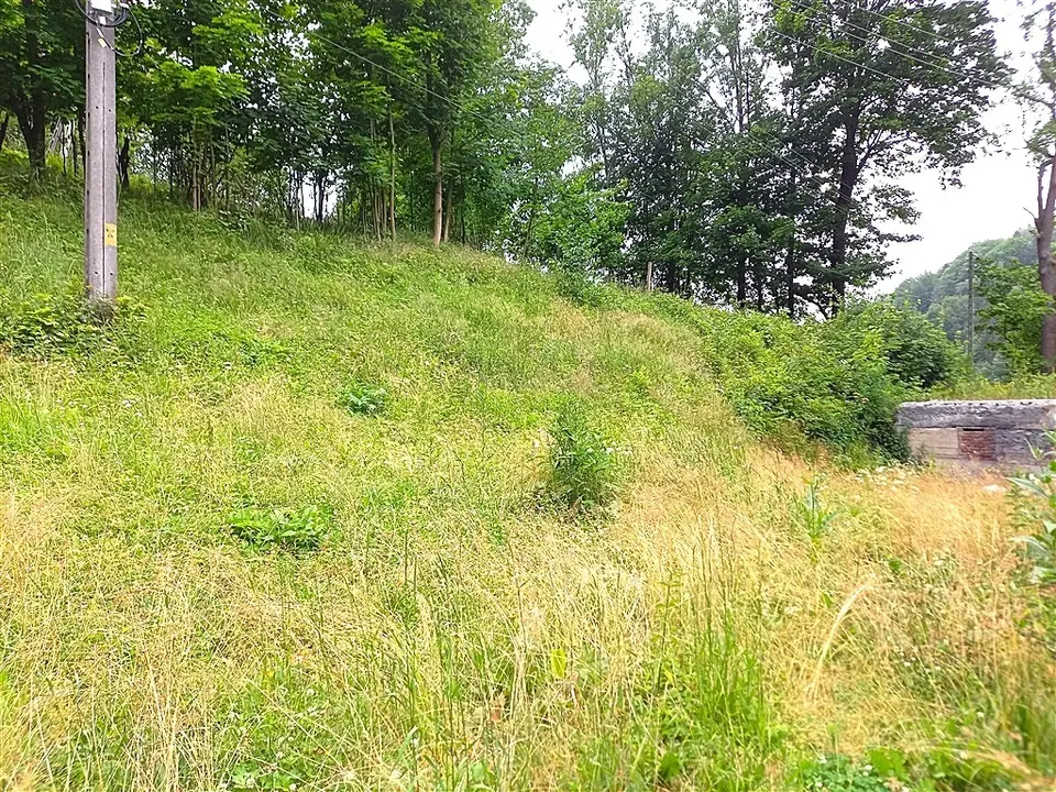 Zdjęcie 11