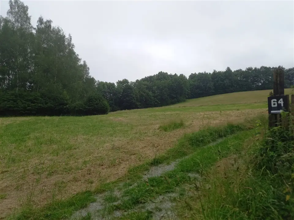 Zdjęcie 13