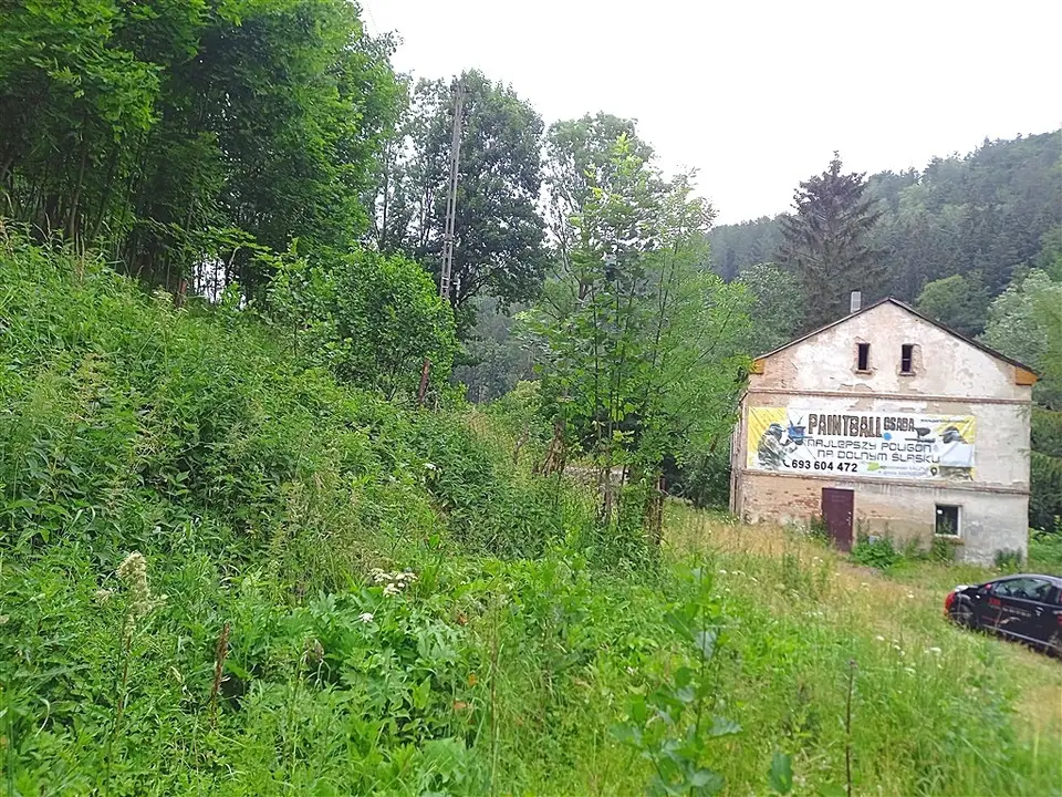 Zdjęcie 14