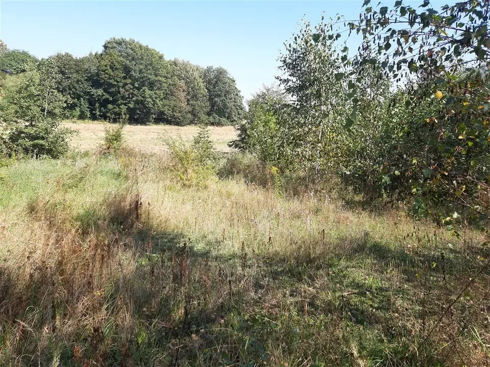 Działka budowlana 1 500 m², Stare Bogaczowice