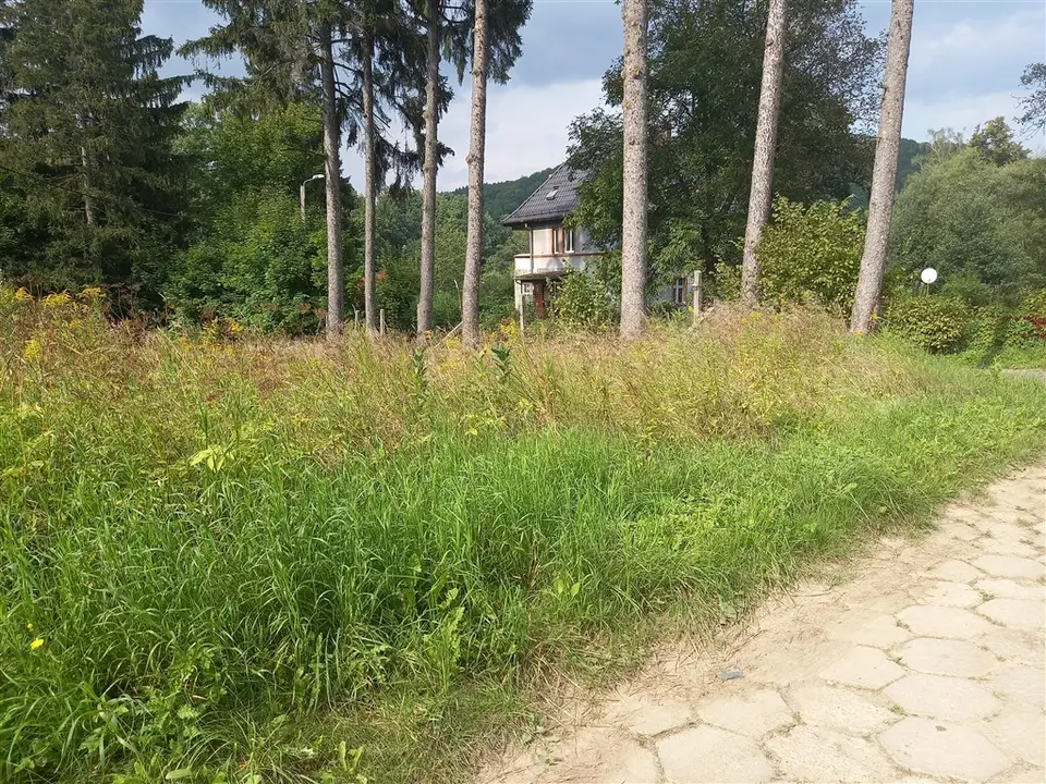 Zdjęcie 3