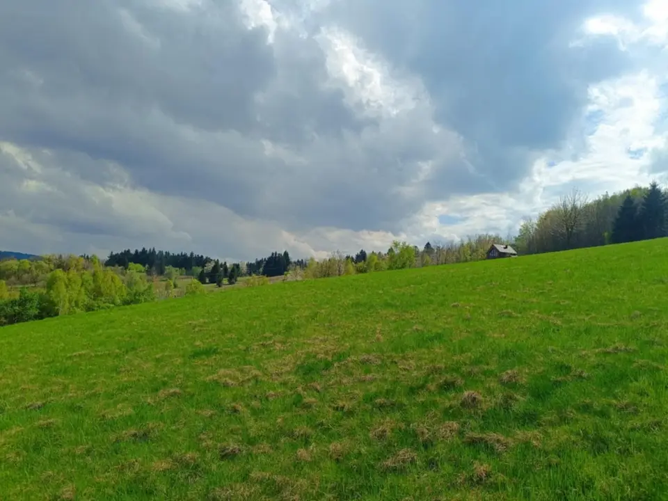 Zdjęcie 6