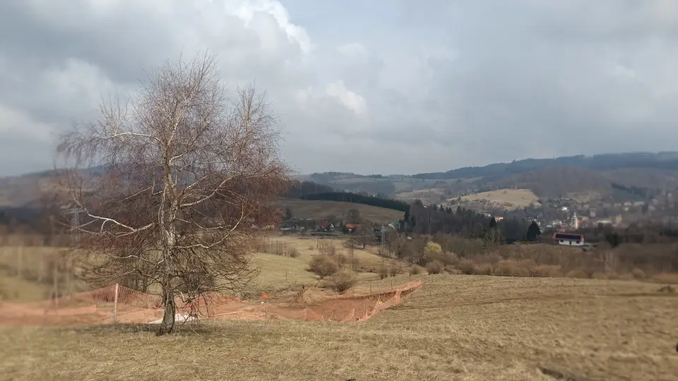 Zdjęcie 7