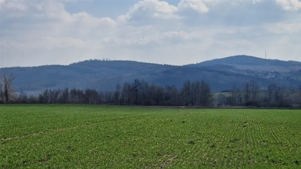 Zdjęcie 5