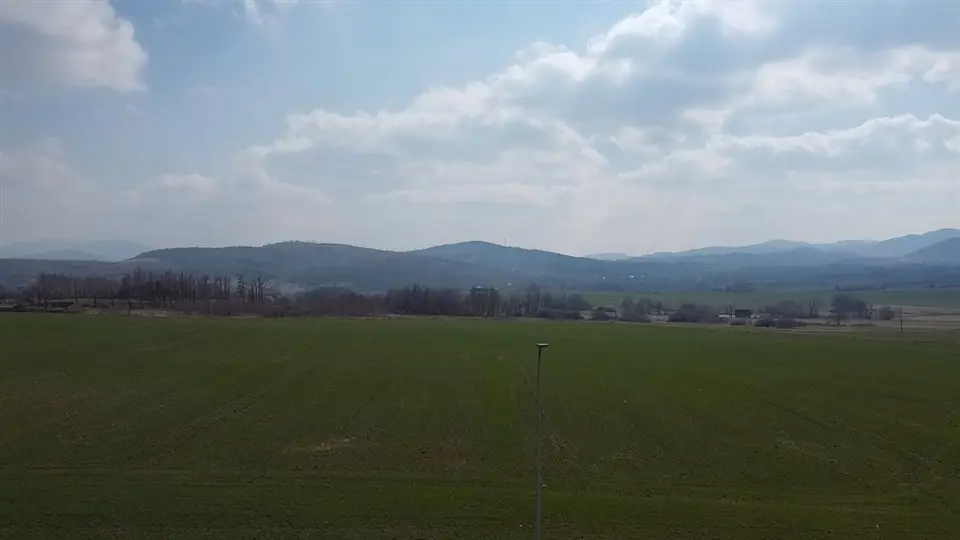 Zdjęcie 8