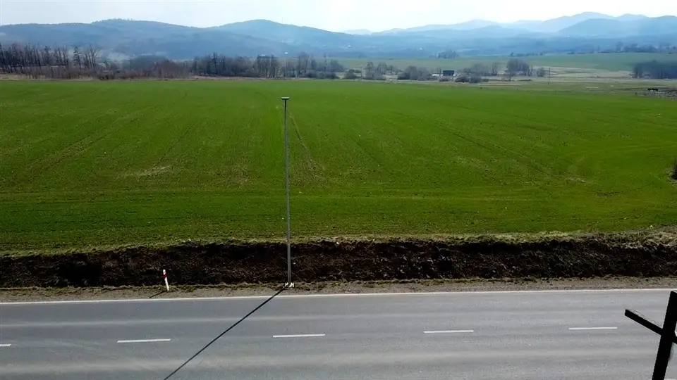 Zdjęcie 10