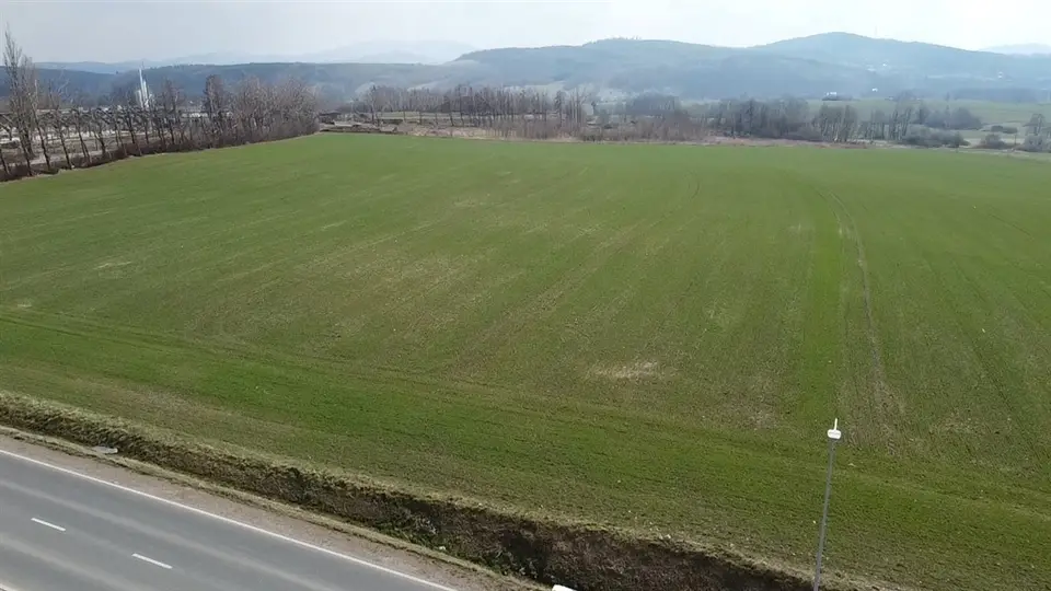 Zdjęcie 12
