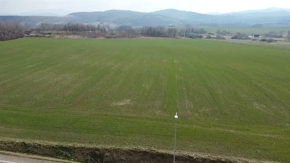 Zdjęcie 13