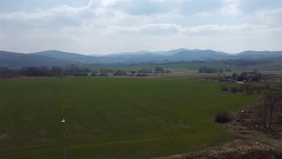 Zdjęcie 19