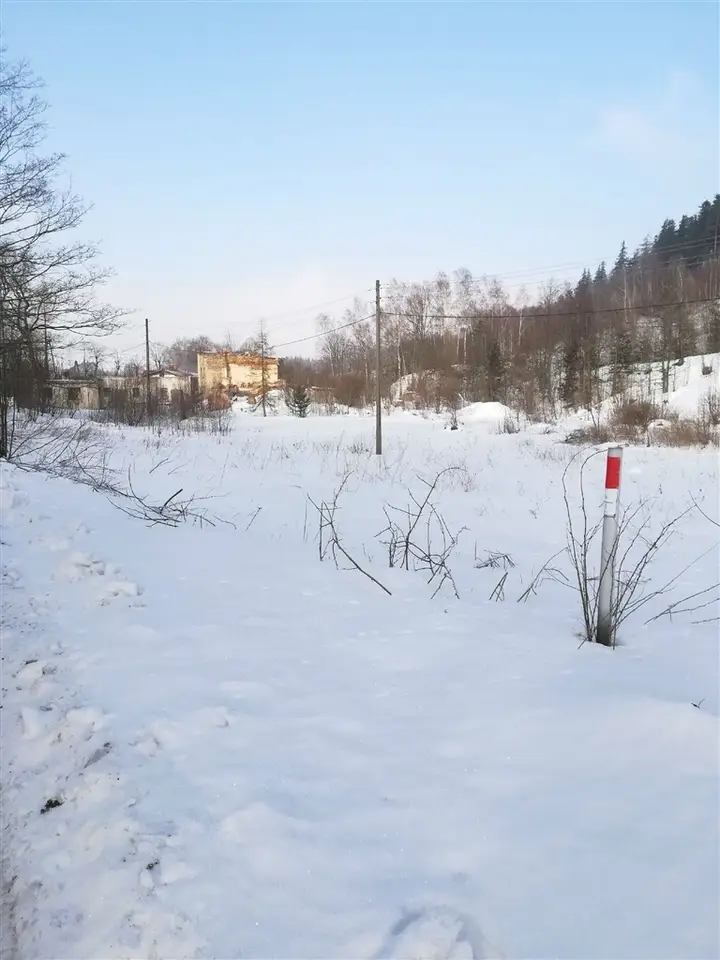 Zdjęcie 3