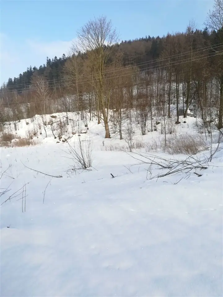 Zdjęcie 4