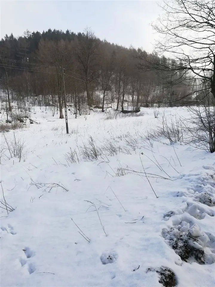 Zdjęcie 7