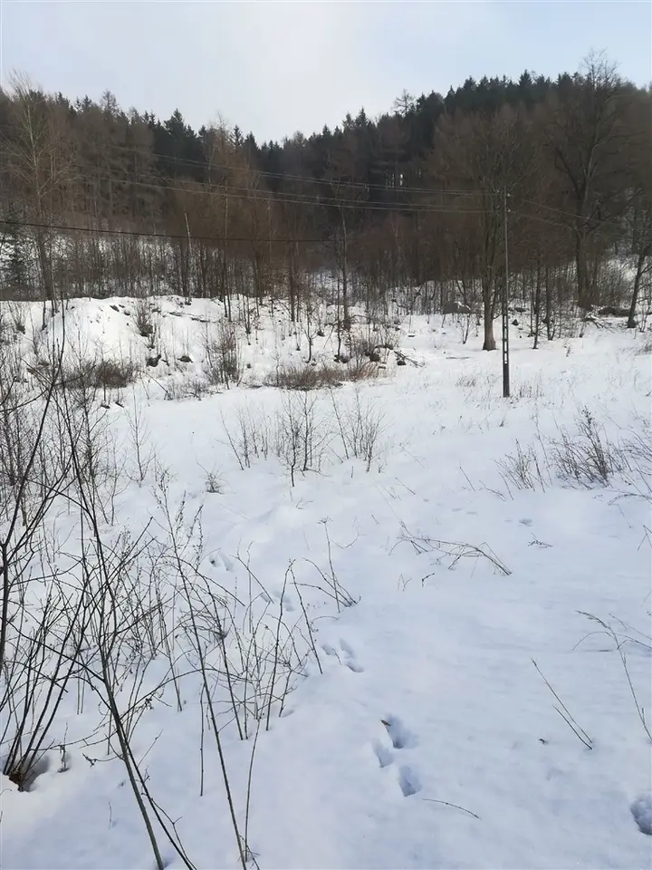 Zdjęcie 8